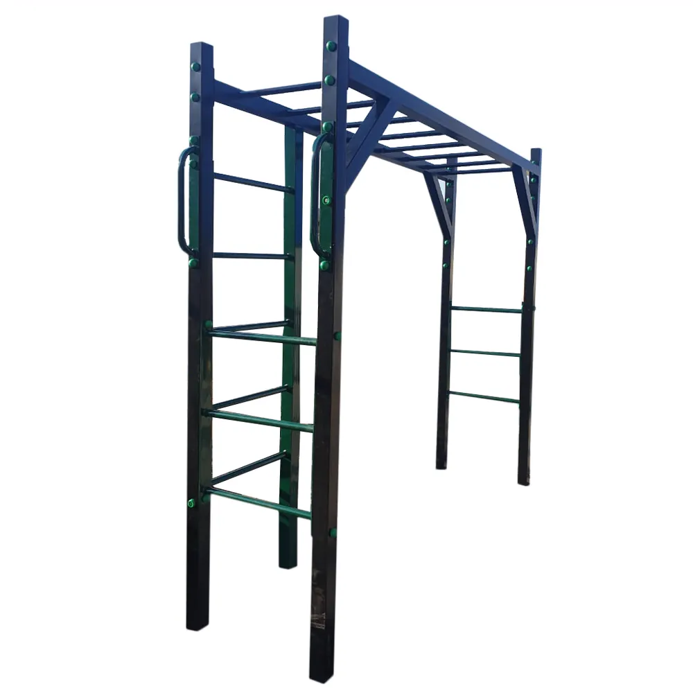 EX S-19 Children's Swing